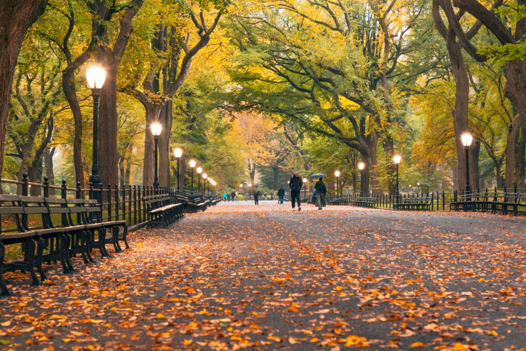 Central Park Location in New York in the Fall with people walking holding umbrella, leaves on path