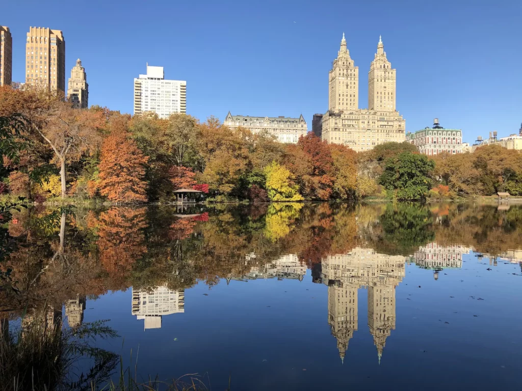 Central Park NYC including lake with buildings and trees reflecting on water, highrise buildings in background, and lush fall colors
